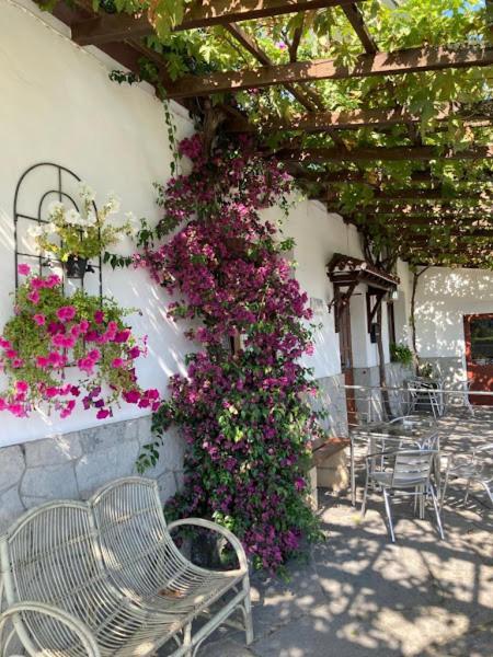 Atxispe Etxea Casa Rural Laukiz 外观 照片