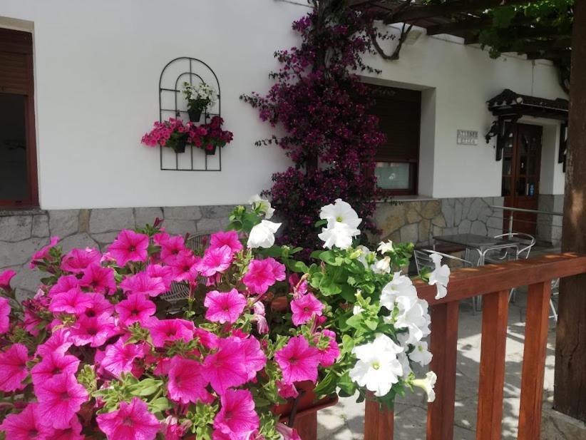Atxispe Etxea Casa Rural Laukiz 外观 照片